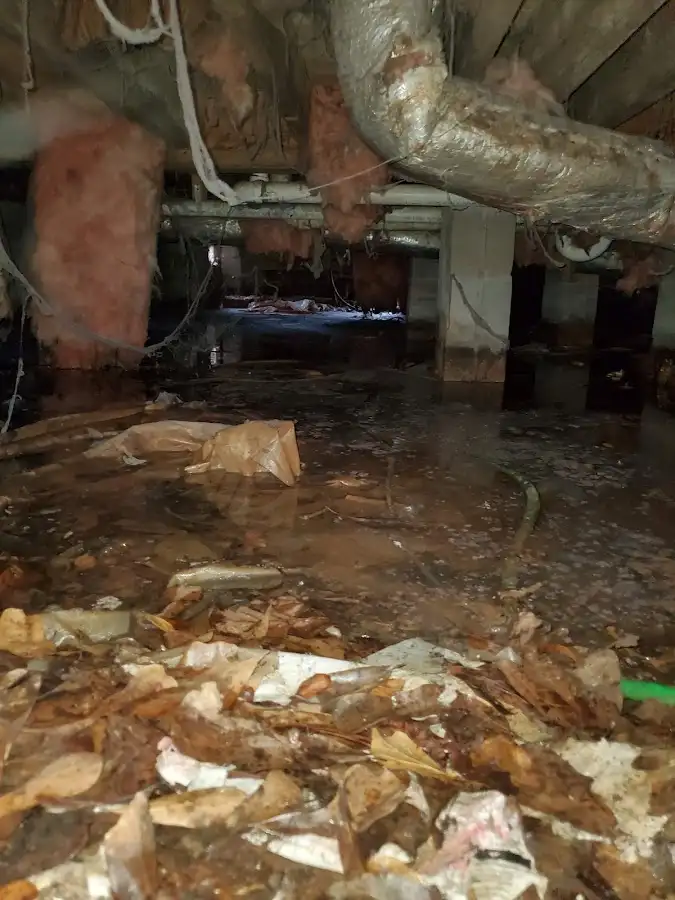 Crawl space flood assessment for Commercial Water Damage Restoration in Raytown